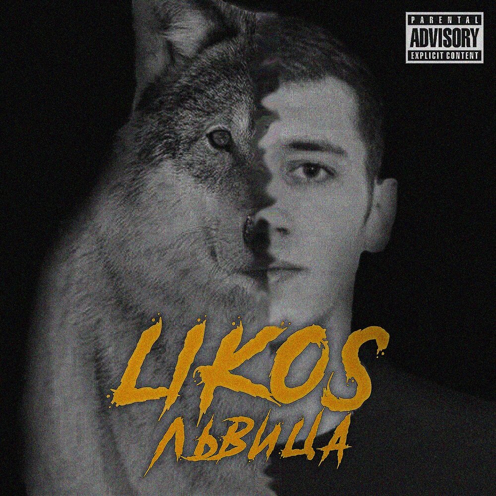 дикая львица ты моя царица. алекс и рус дикая львица. ты моя львица ты моя царица. дикая львица alex & rus. песня дикая львица.