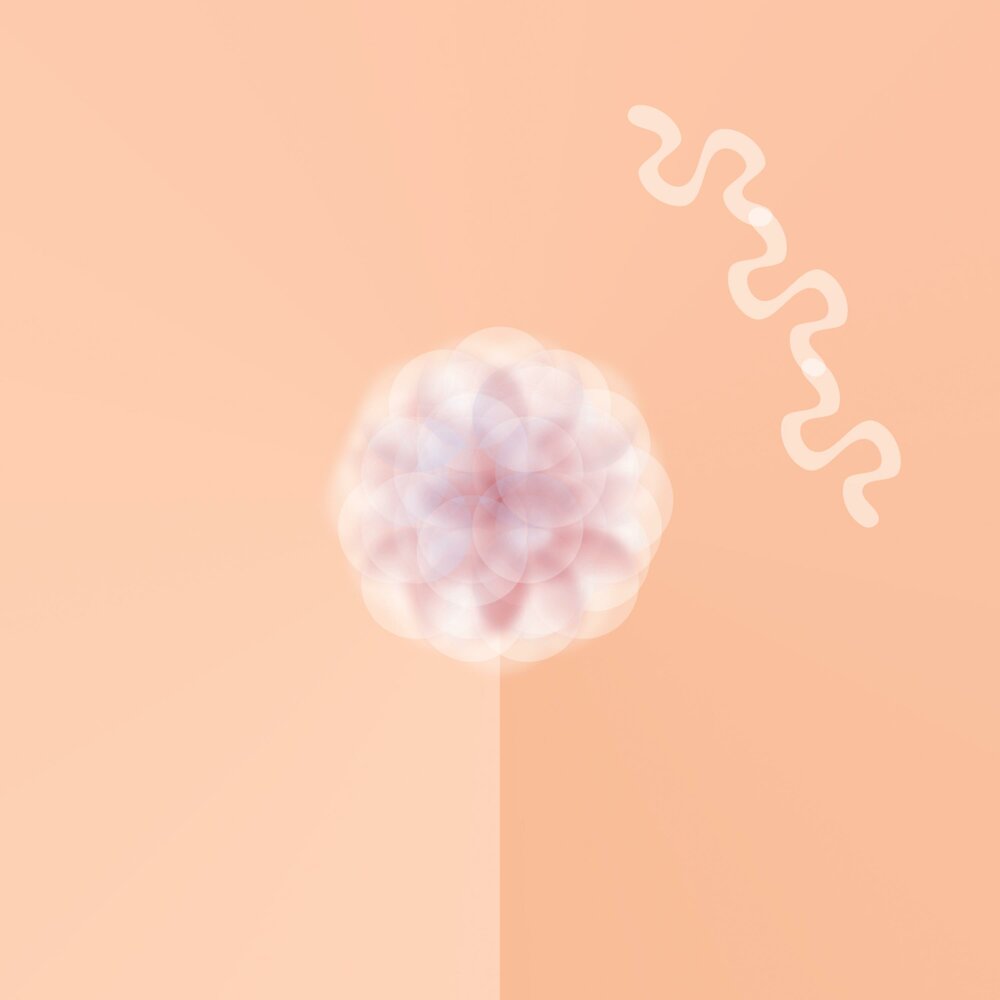 картинка большая кровать двое людей и кошка. спящий человек. красивая девушка спит. как быстро уснуть. человек спит.