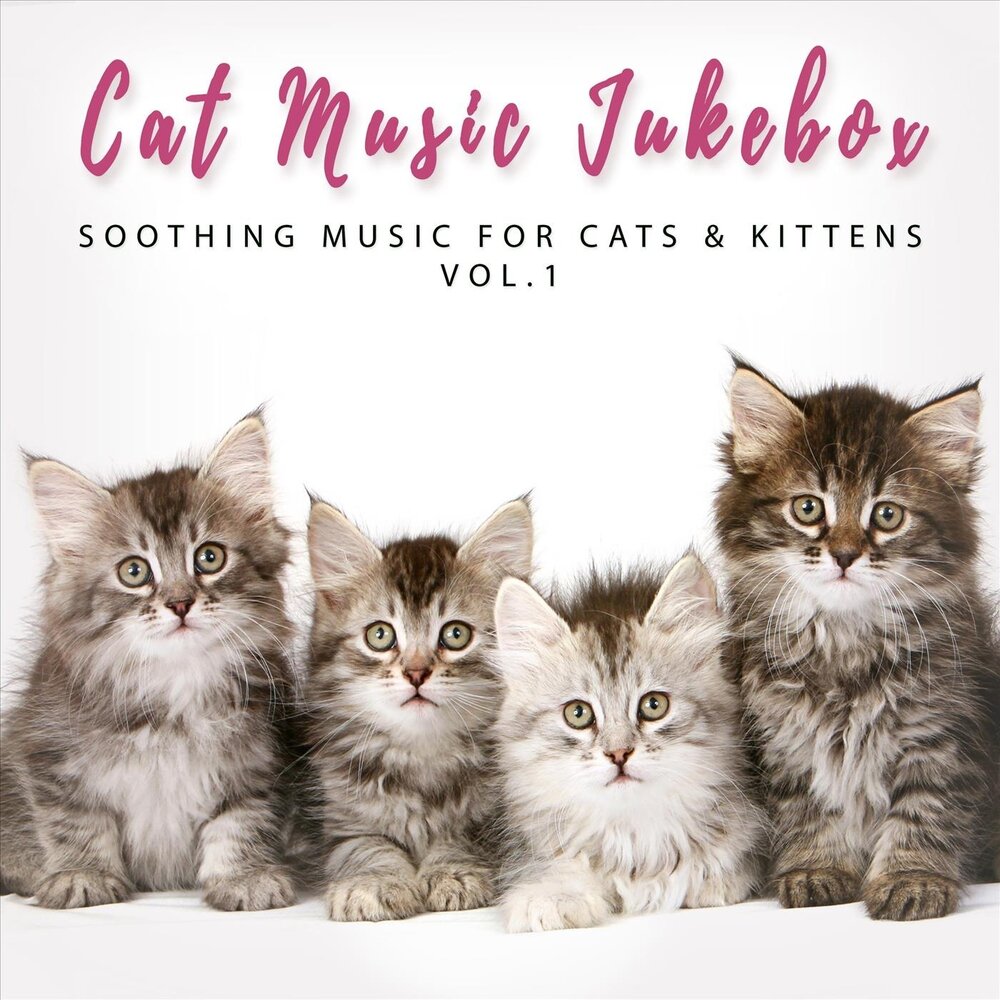 Язык в тг for cats and kitties. Pets and Music Music for Cats and friends - Vol. 2. Dream the Pussycat.