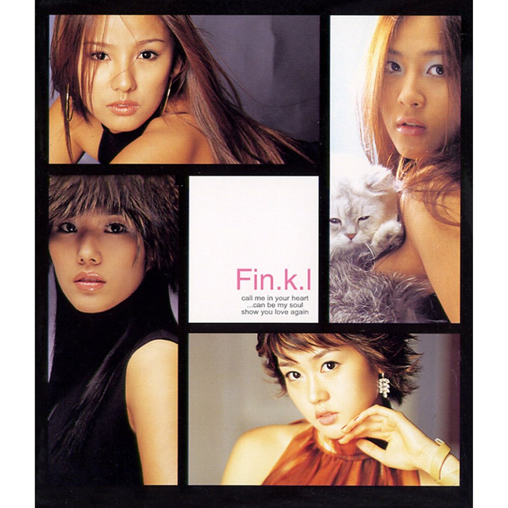 Fin@l. Fin.k.l best album. Fin.k.l Forever Love. Обложка fin.k.l Eternal Love.