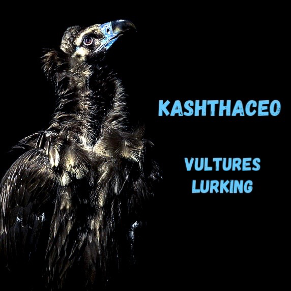 Vultures album. Vultures альбом. Логотип альбома Vultures. Обложка альбома Vultures. Разбор альбома Vultures.