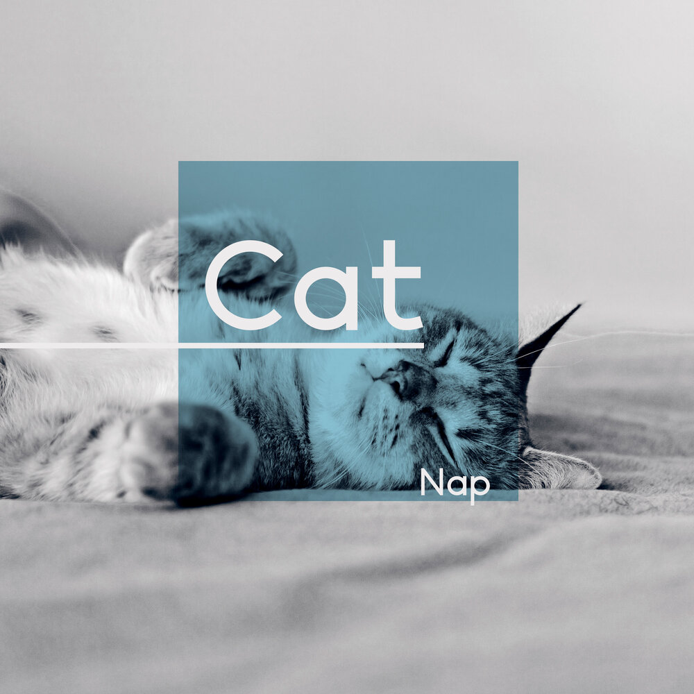 Название catnap help dogday to sleep. Cat nap песня. catnap и dogday шип.