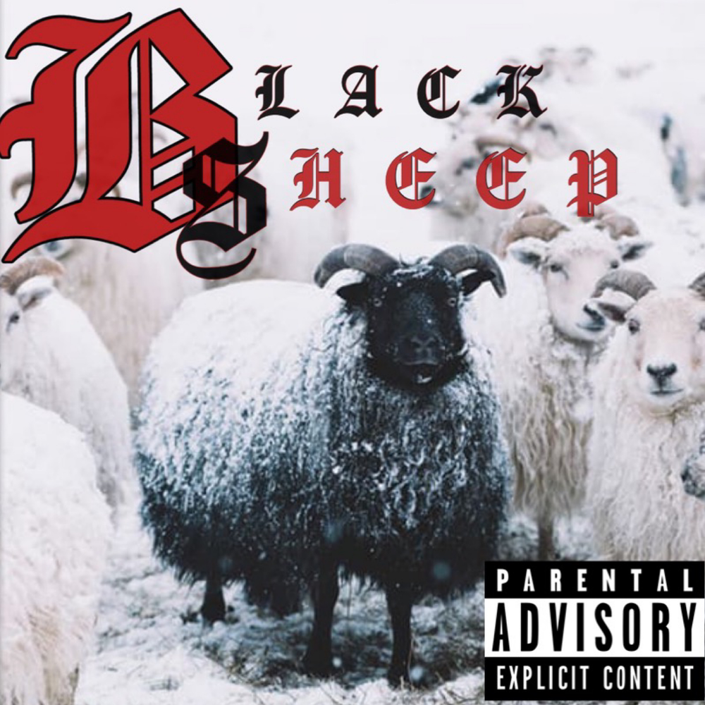 Sheep слушать. Black Sheep. Black Sheep of the Family Rainbow. Black Sheep группа. Black Sheep Metric.