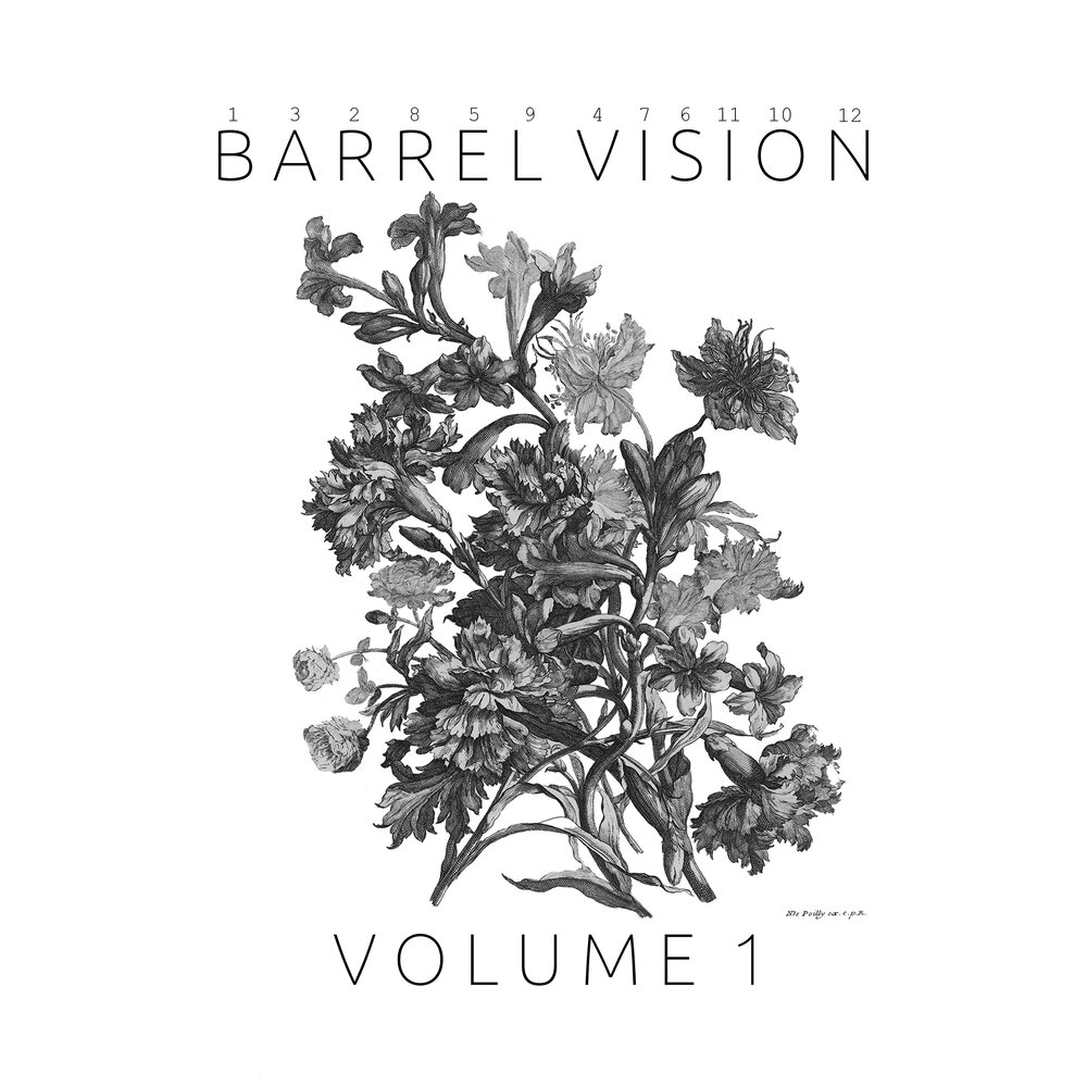 Vols vision. Volume Vision. Visions Volume 1.