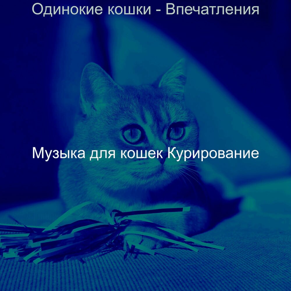 Музыка для котят