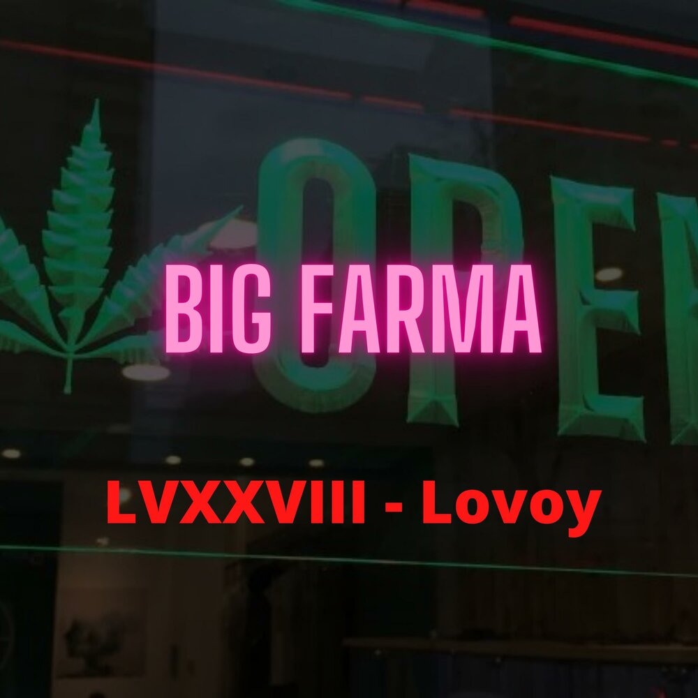 Биг фарма. Lovoy. Big Digital big Farma. No'Lovoy.