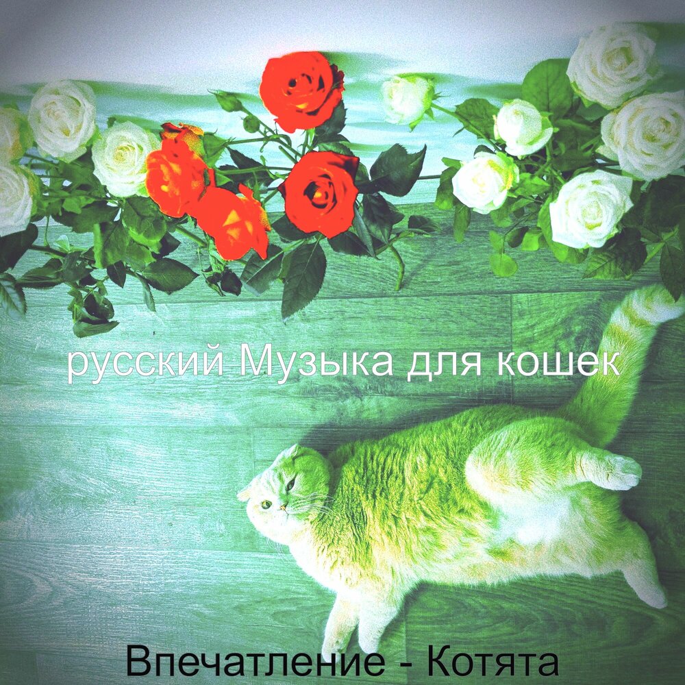 песня хороший кот слушать