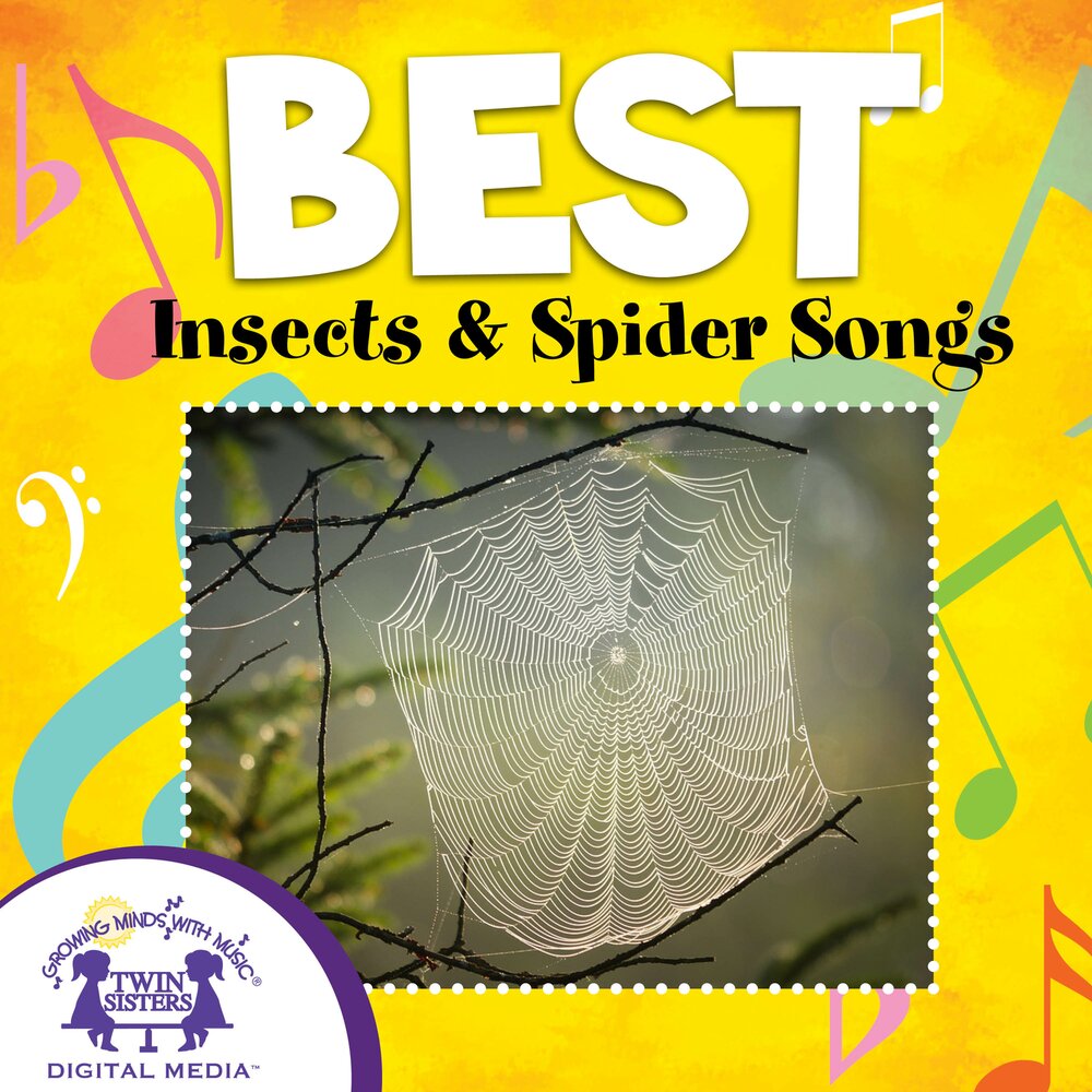 Spider songs