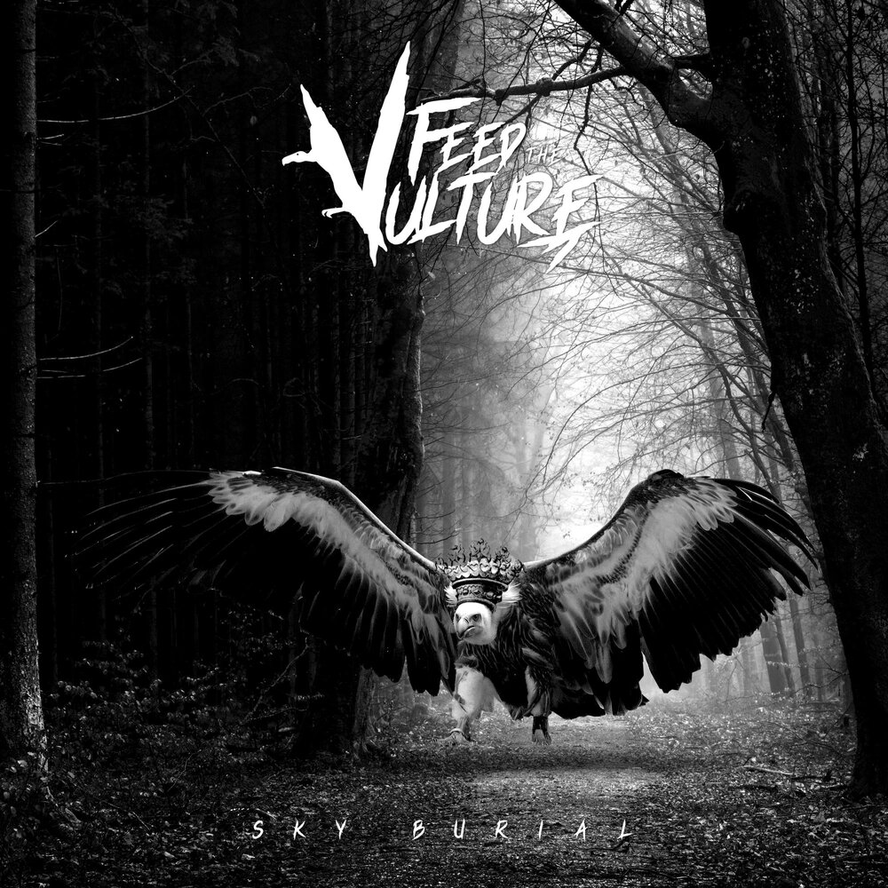 Vultures обложка. Vultures 2 обложка. Vultures песни. Vultures обложка альбома. Vultures альбом.