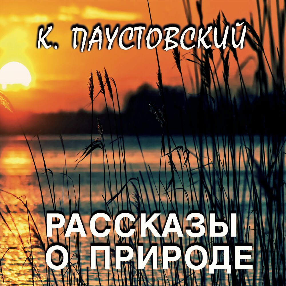аудиозапись паустовский. пластинки читает яковлев. аудиозапись паустовский. повесть о лесах книга. книга.