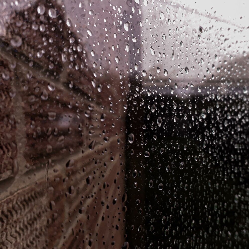 Rain v. Дождь 5 д. Rain v3.