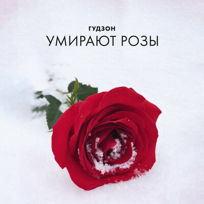 Скачать песню Гудзон - Умирают розы (Amergaliev & Yura Sychev Remix)
