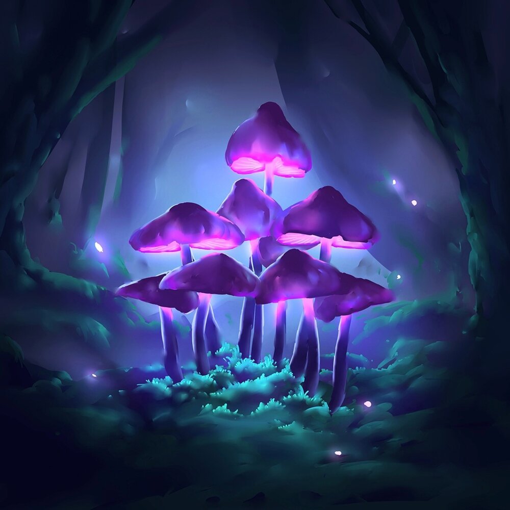 Волшебные грибы