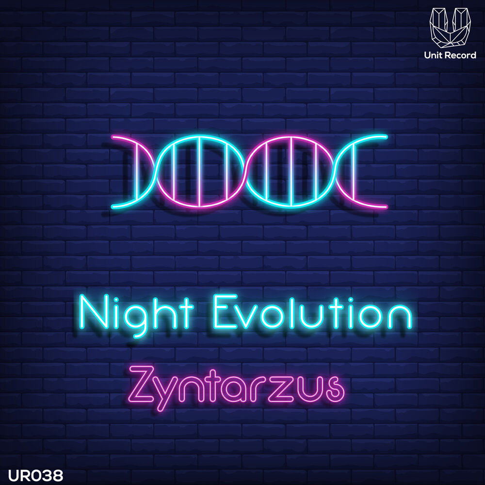 Night evolution