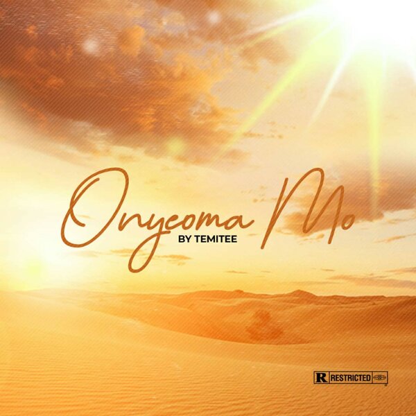 cover for track Onyeoma Mo of artist Temitee