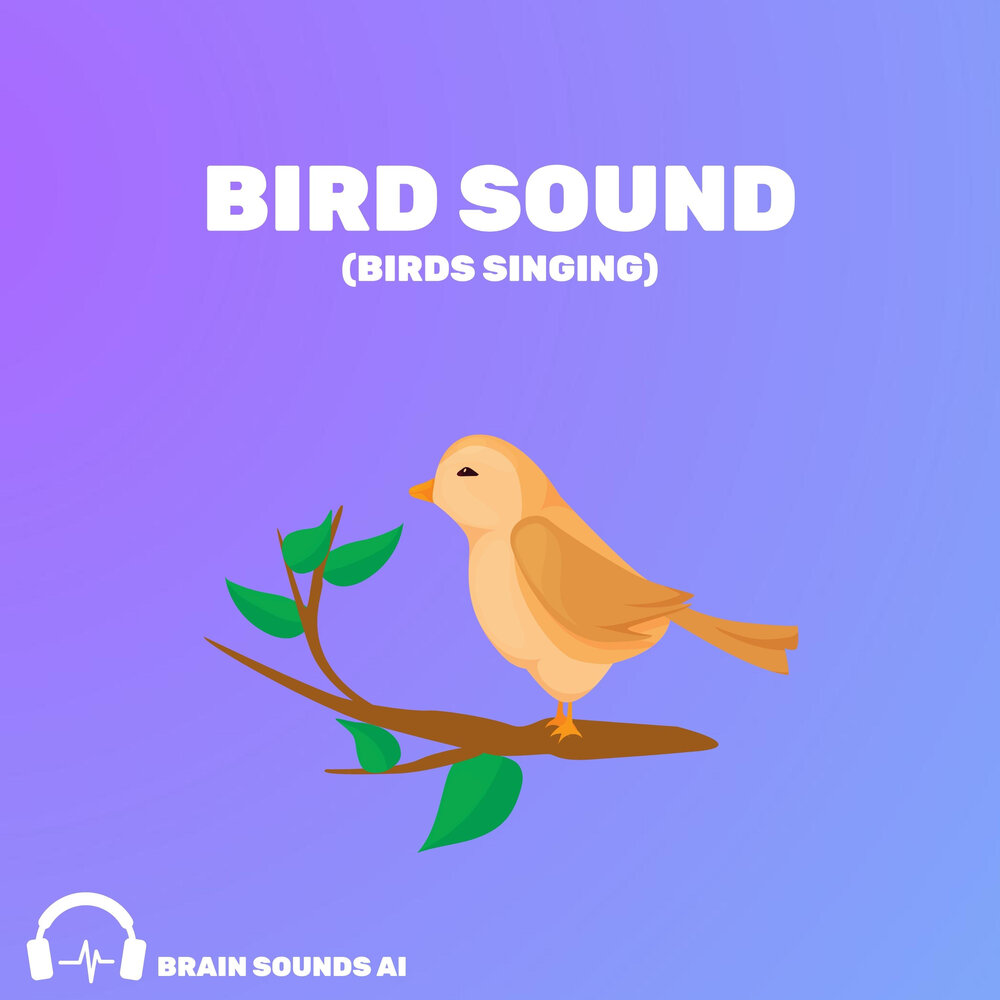 Bird Sounds. Bird Sing.