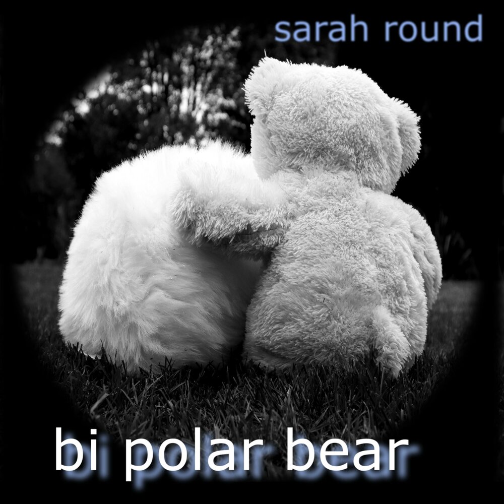 Sarah bear. Polar everywhere, everything.