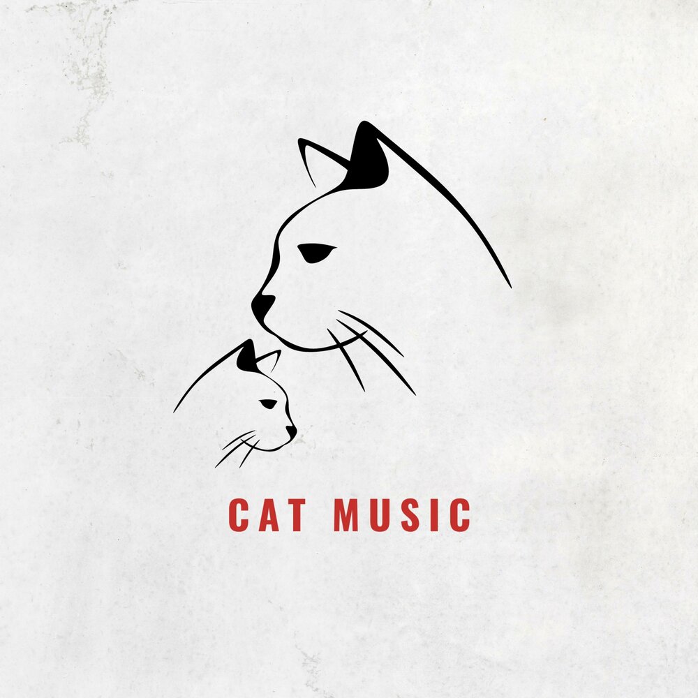 Music for cats. Кэт Мьюзик. Cat Music. Calming Music for Cats.
