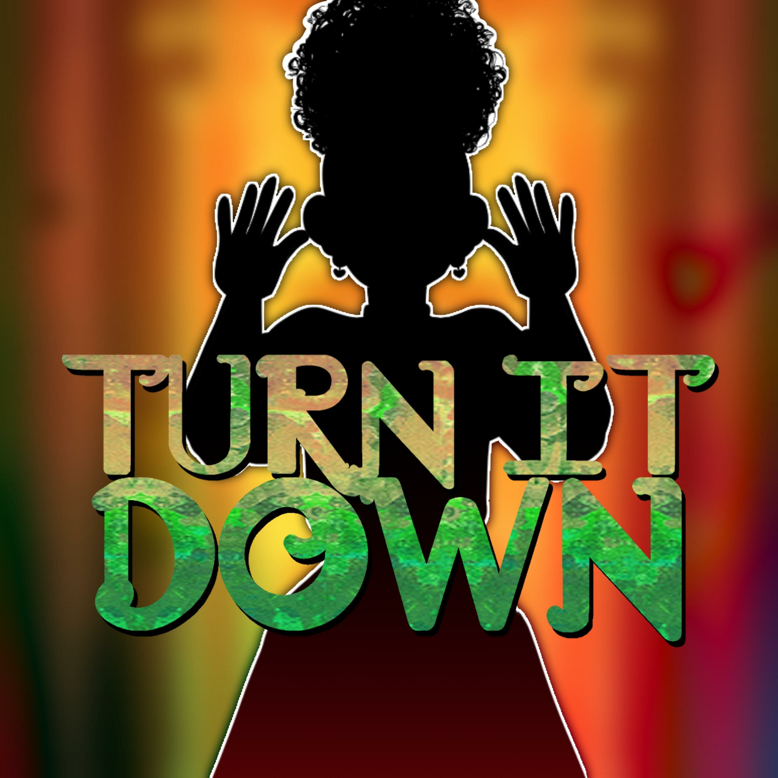 Обложка релиза Turn It Down
