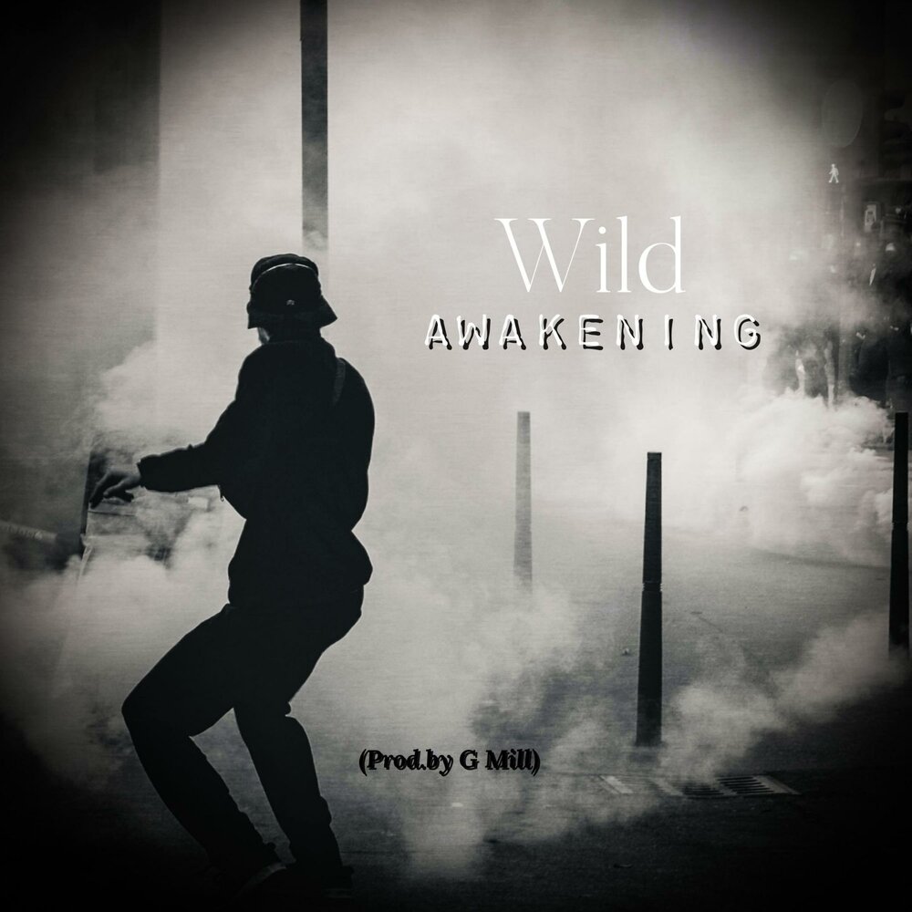 Mill Beat. Wild Awake перевод.