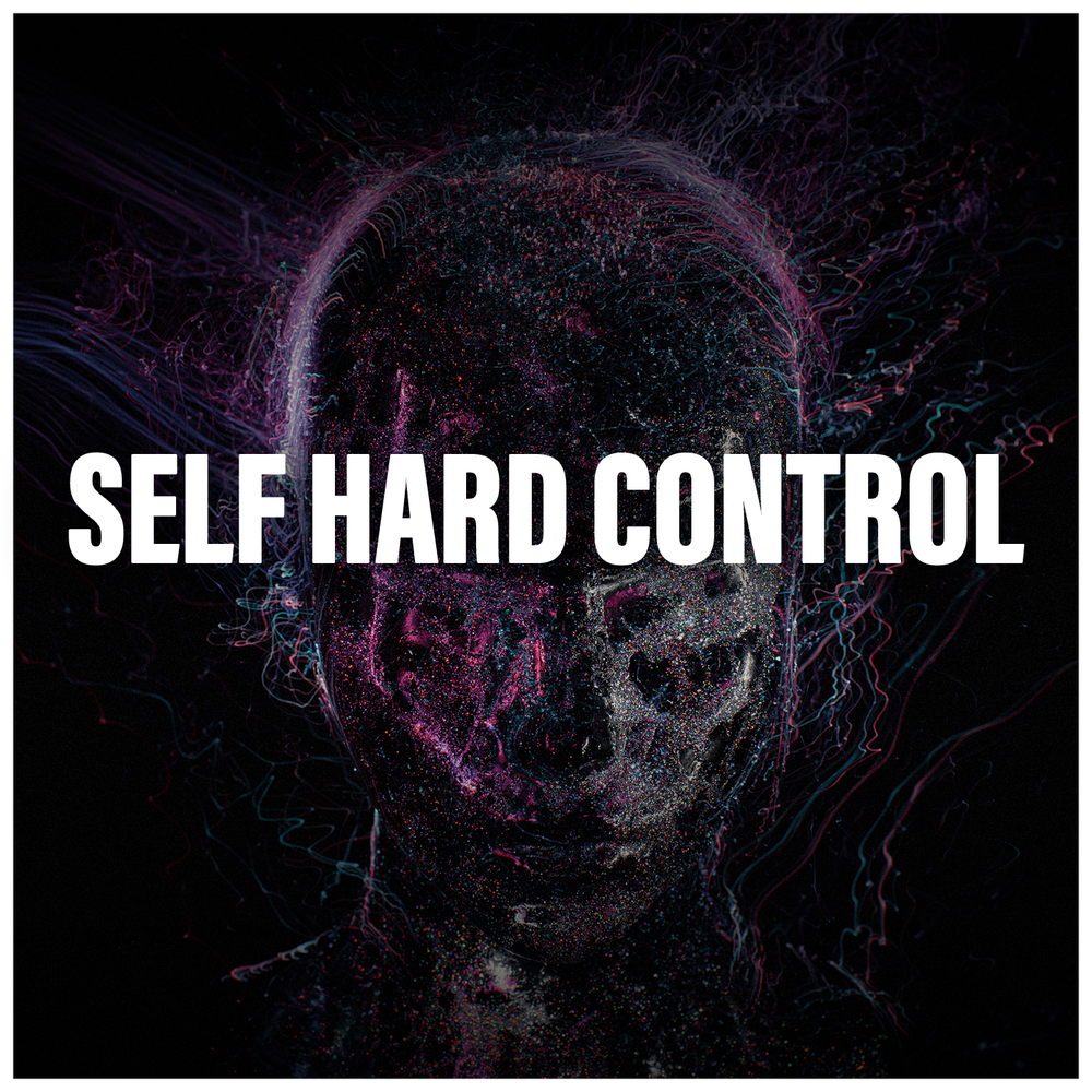 Statistics of people with gambling addiction. Hard control. Parhelion plan b. Techno control ads. Модель трех линий защиты coso.