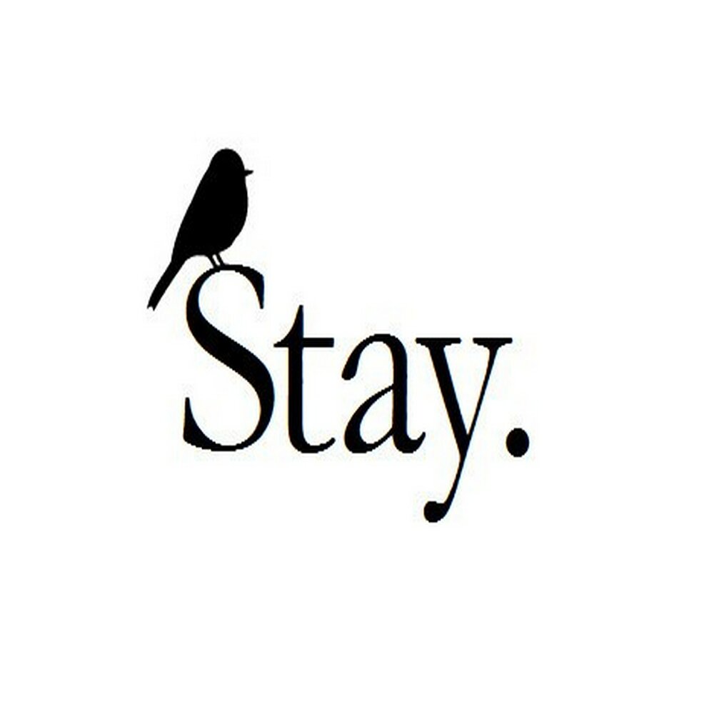 S ta v. Stay картинка. Stay. Stay stay.