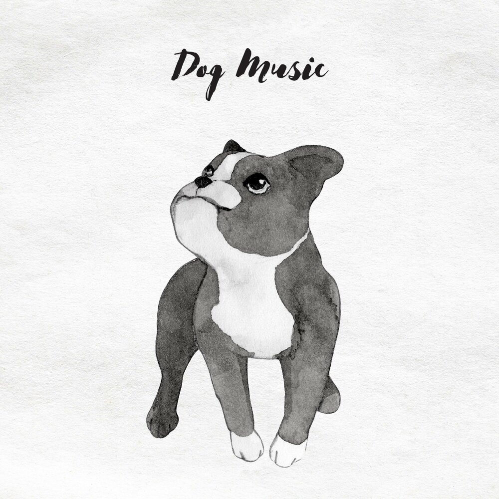 Broken tail. Дог Дэй. Music Pets. Dogday poppyplaytime Art.