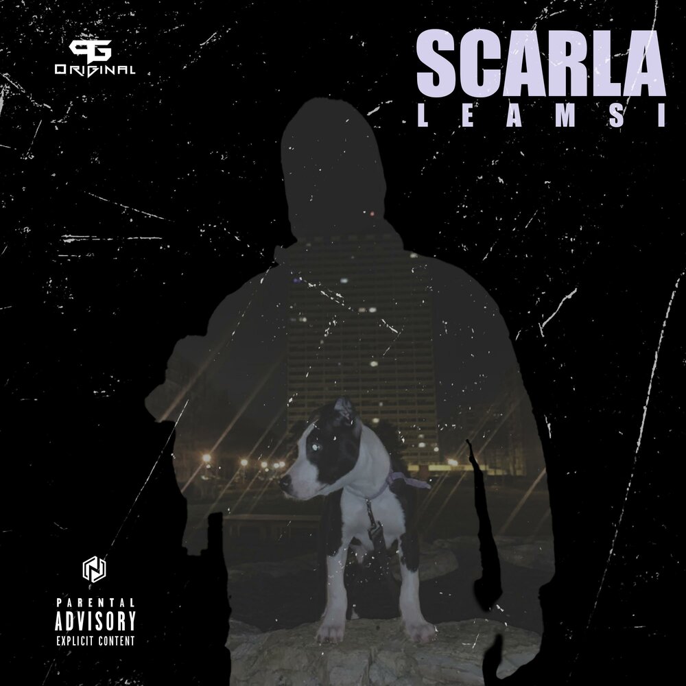 track-cover
