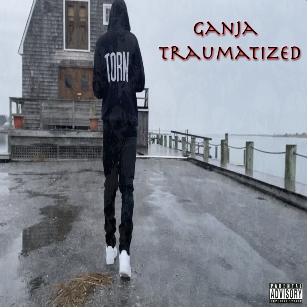 Traumatized. Download Music Traumatized.