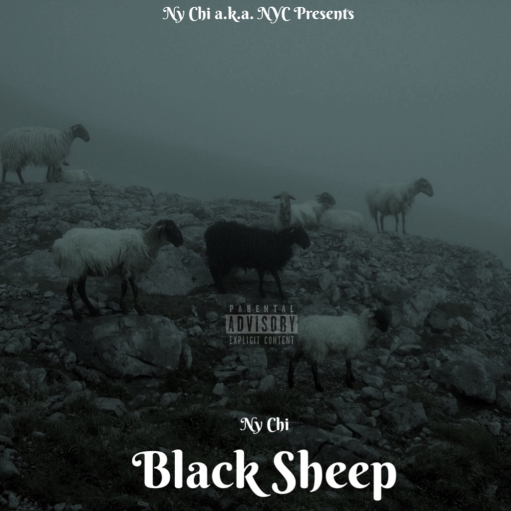 Sheep слушать. Darling Black Sheep.