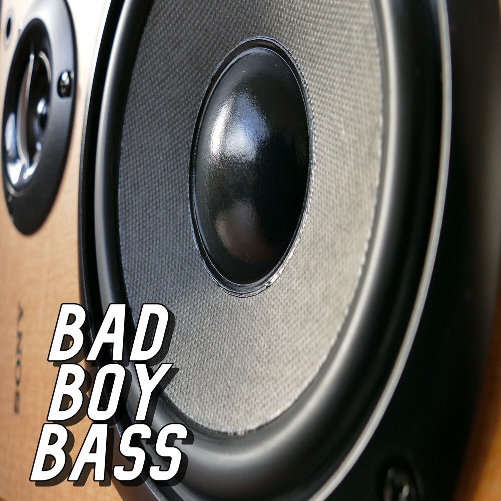 Bass boys. Bass Sound.