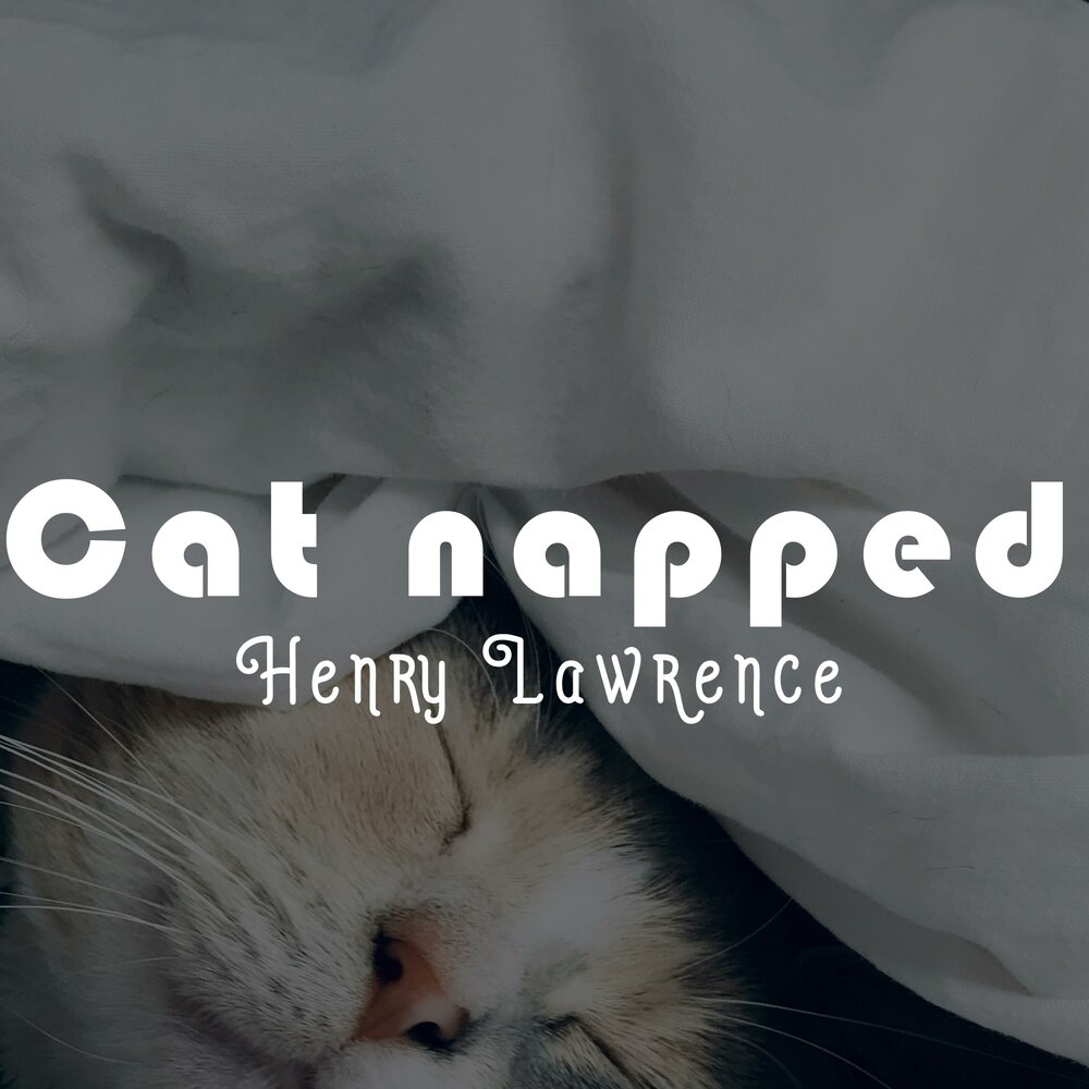 Название catnap help dogday to sleep