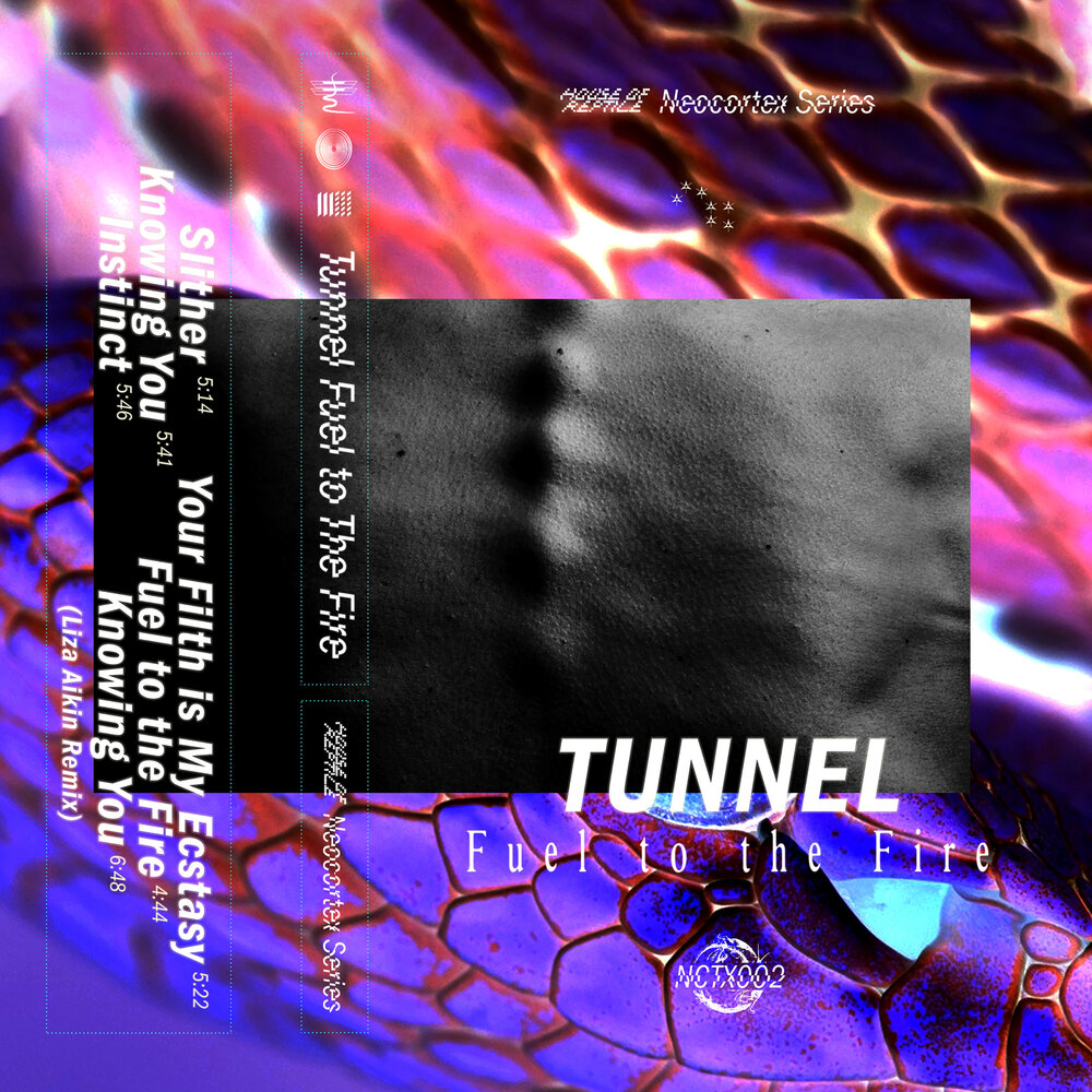 Did you know a tunnel that. Did you know a tunnel that