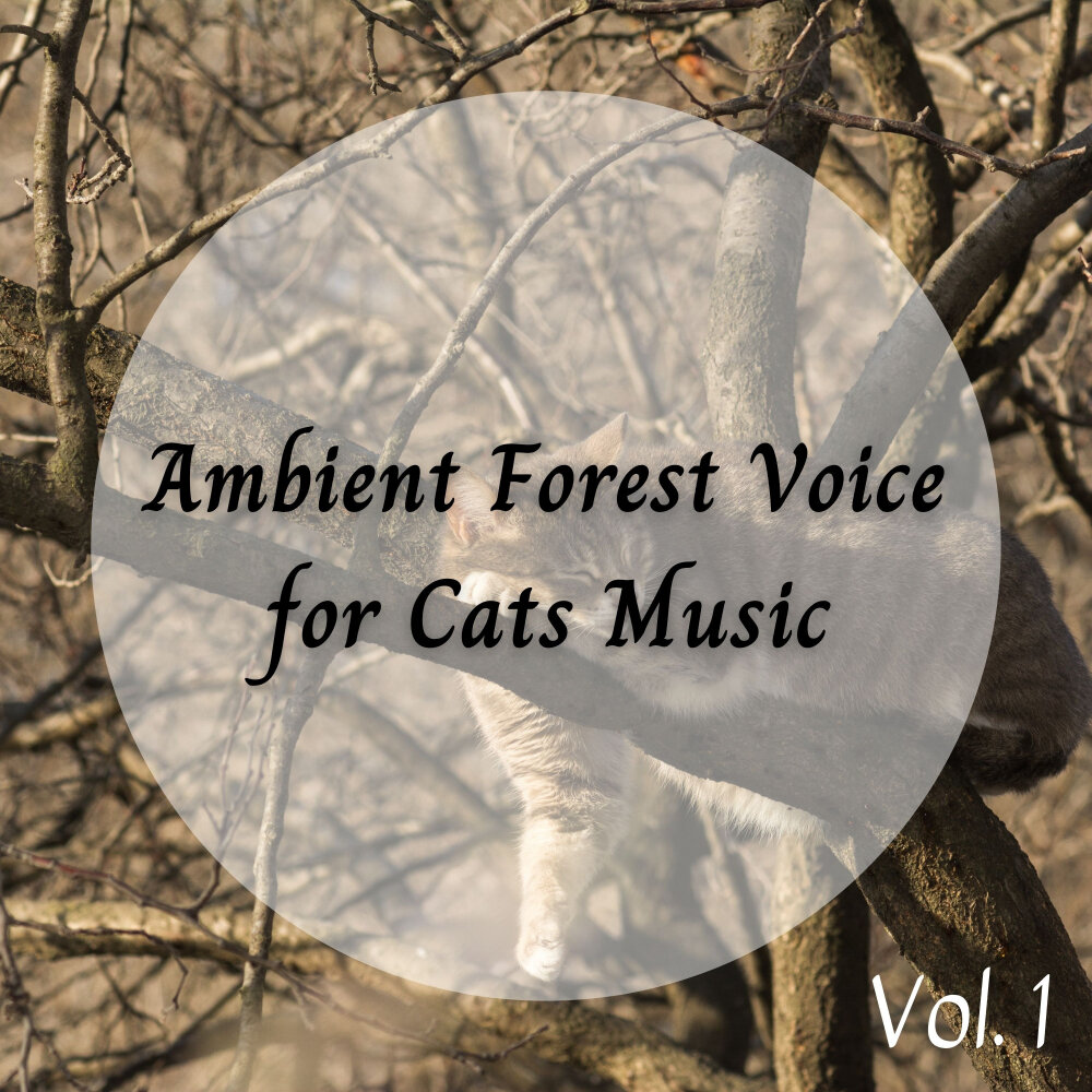 Forest voice