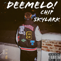 artist-cover