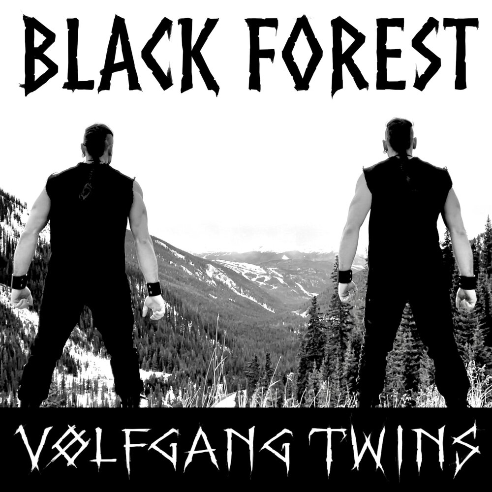 Night raid volfgang twins. Volfgang Twins. Volfgang Twins группа. Jörmungandr от Volfgang Twins. Volfgang Twins Group.