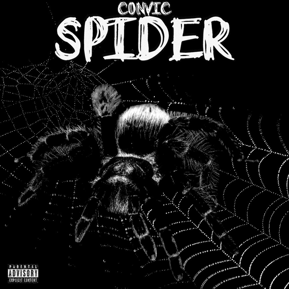 Песня пауков. Песни про паука. Песня про паука. Песня на русском слушать Spiders_son.