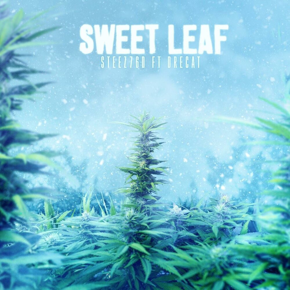 Sweet leaf
