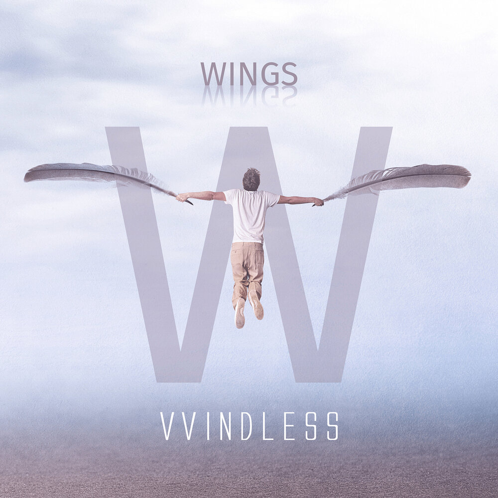 Альбом wings. Give our Dreams their Wings to Fly - tim MCMORRIS.