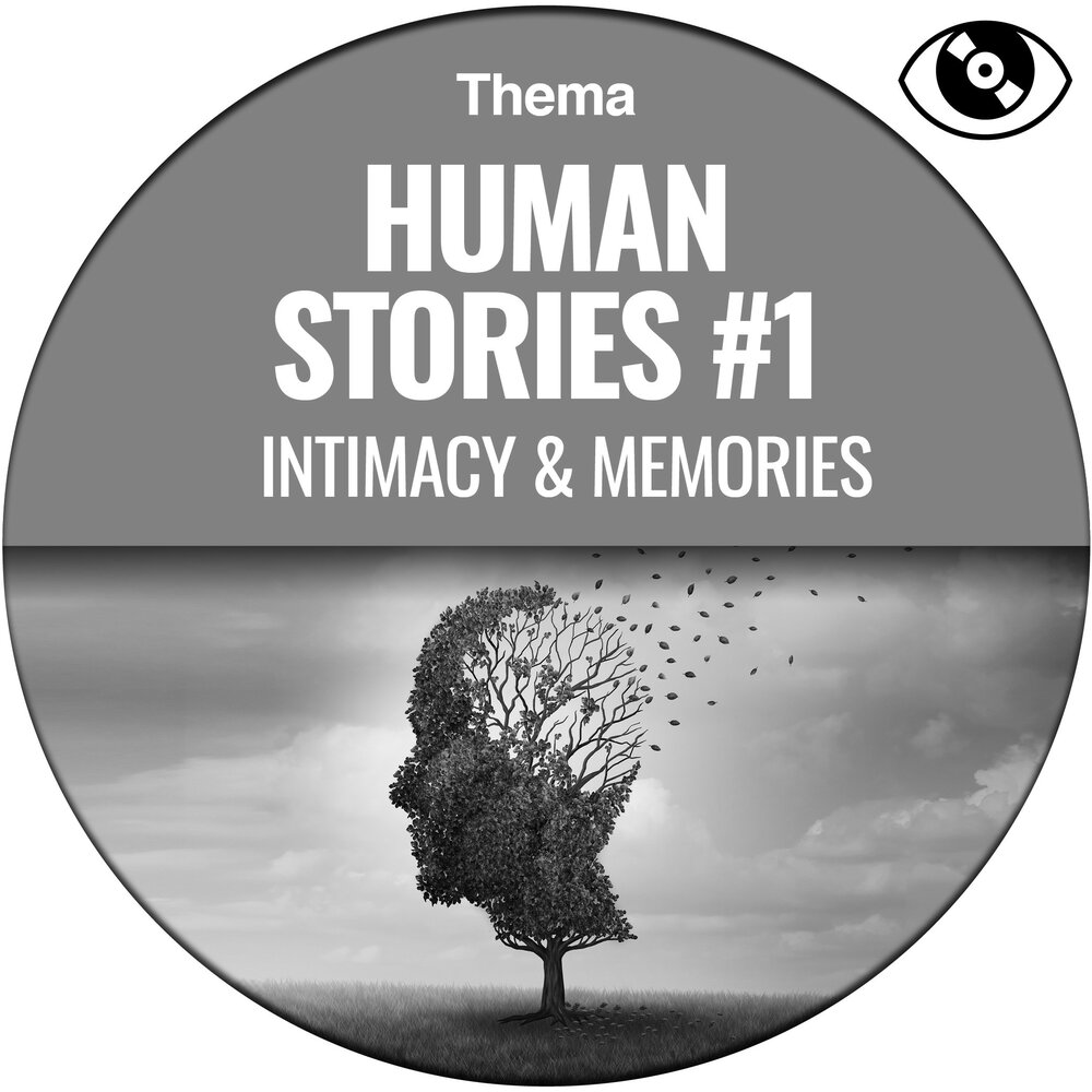 Cinema the whole story thames hudson читать. Human stories 1. Молекулярная антропология. Human книга. Our history.
