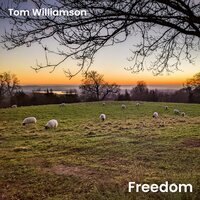 Tom Williamson