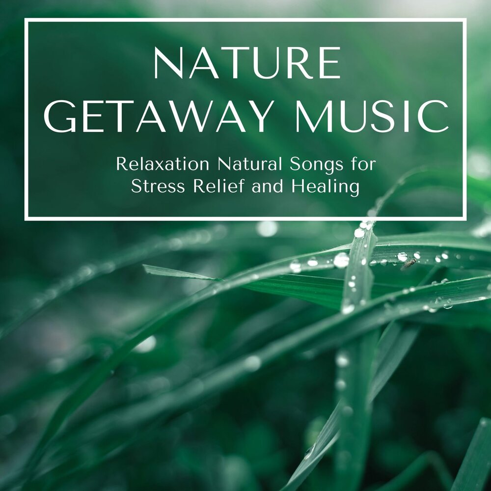 Nature song. Healing Music for stress Relief.