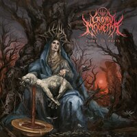 artist-cover