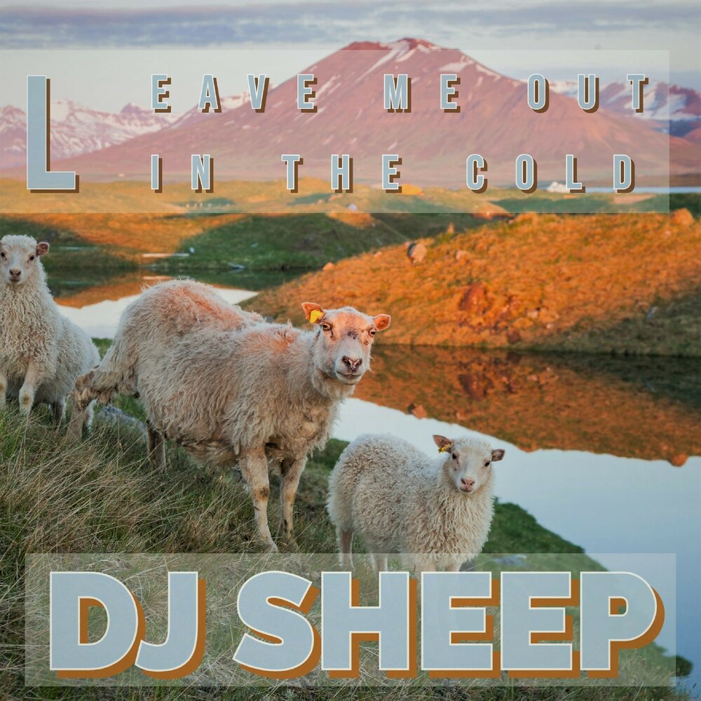 Sheep слушать. Футболка Song of Sheep.