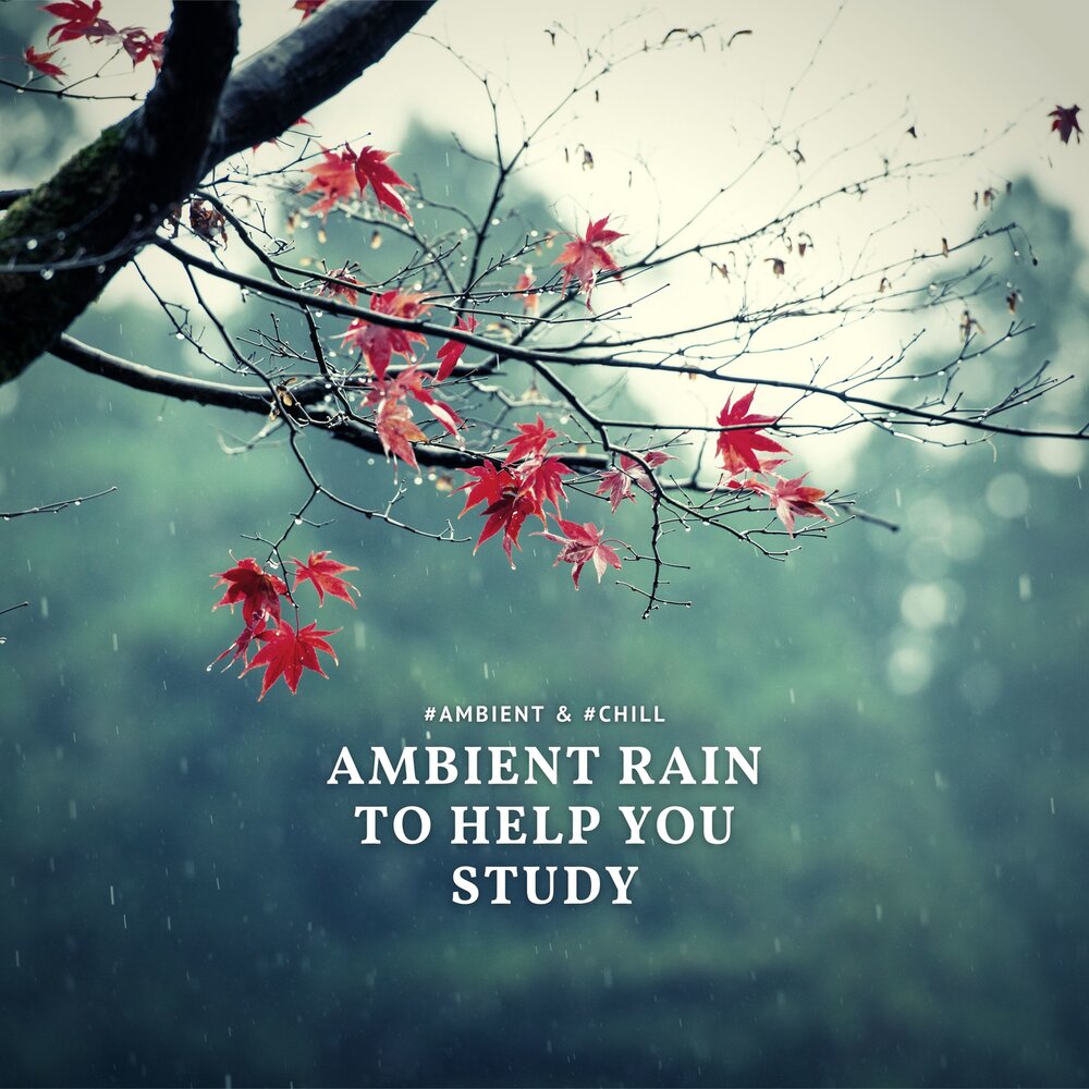 Ambient rain