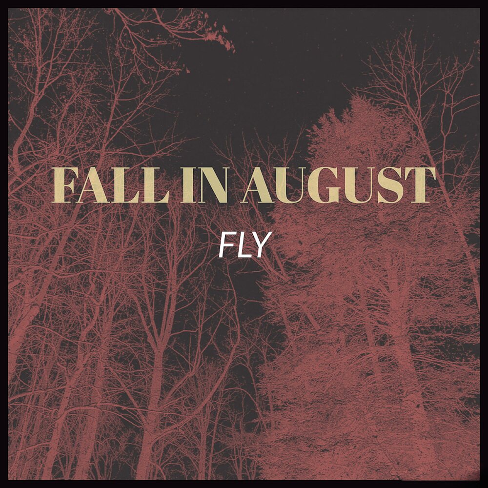 Fly and fall