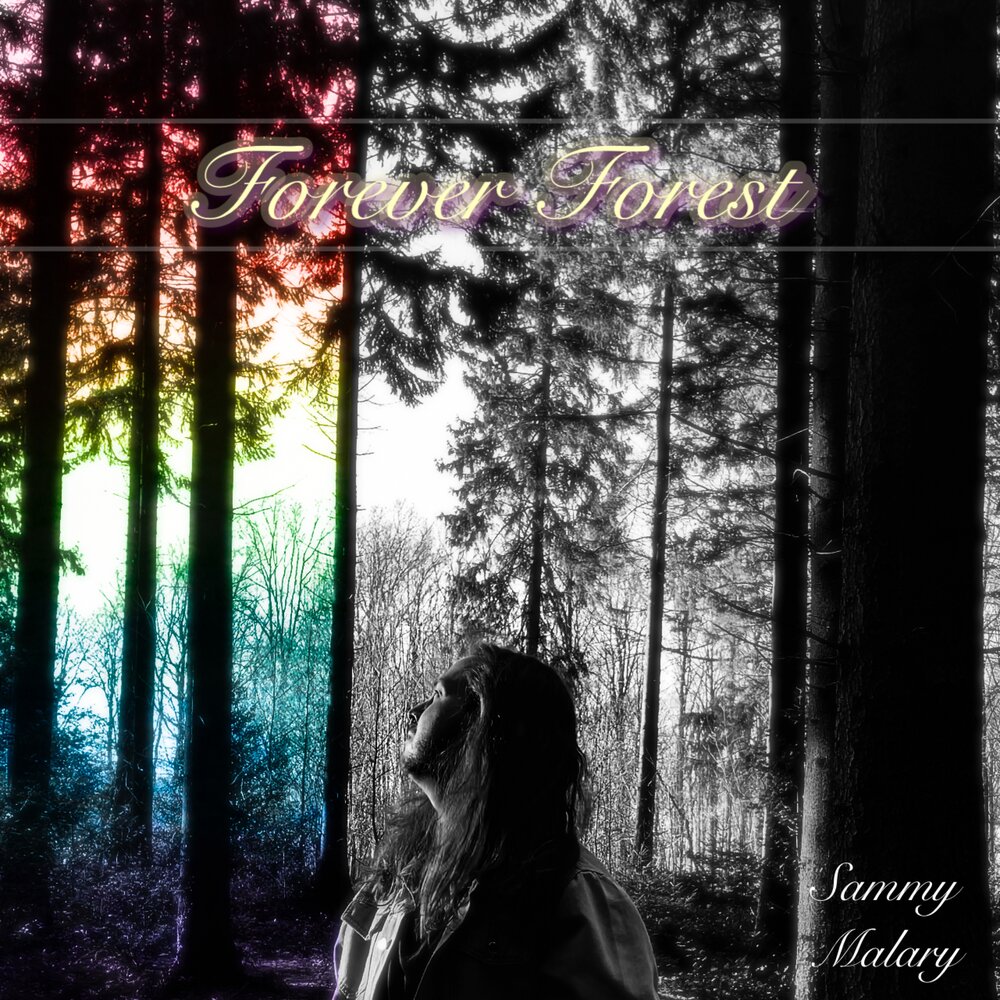 Послушать лес. Forever Forest.