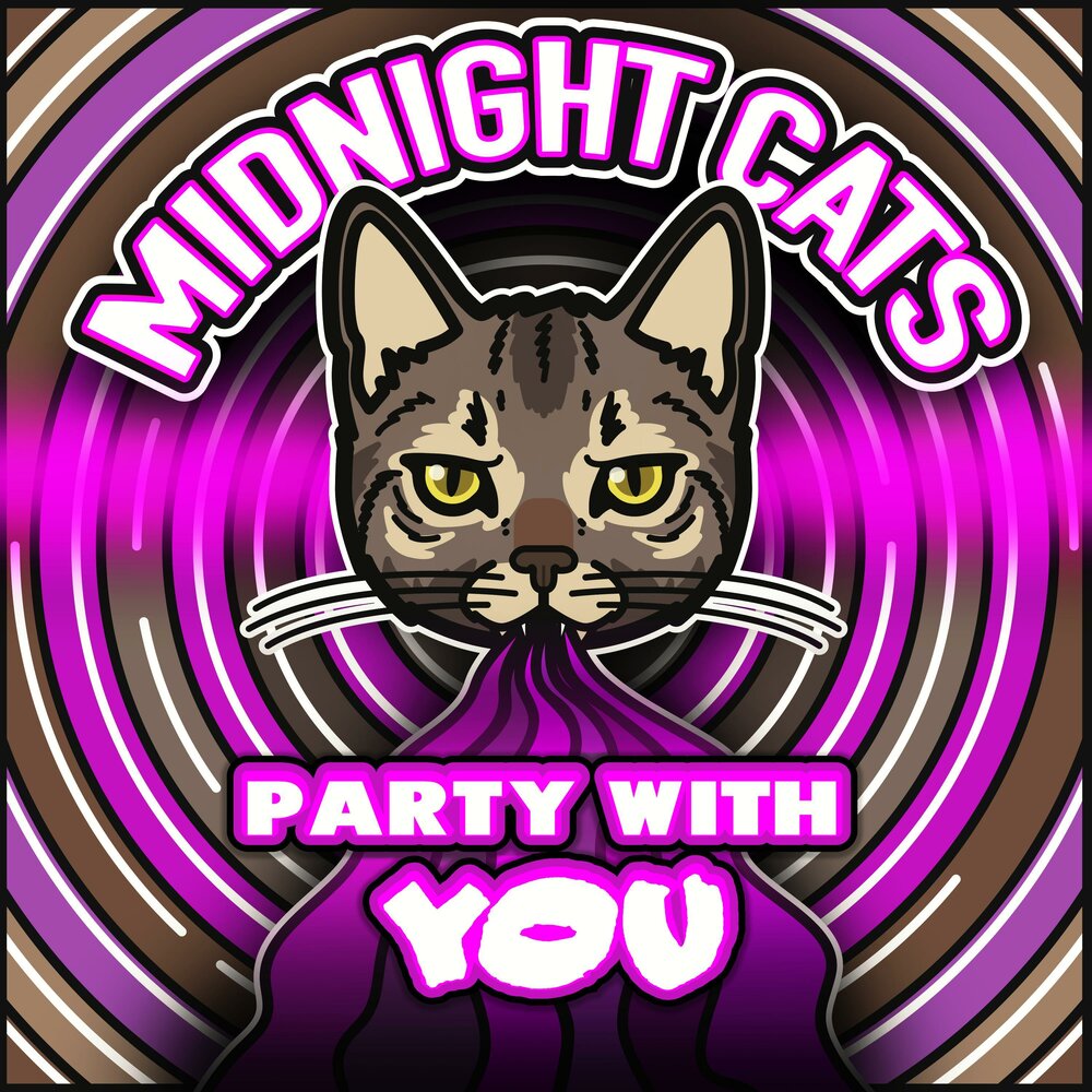 Midnight cat. Миднайт кэтс. Миднайт кошки. Полуночная кошка. Midnight Cat записи.