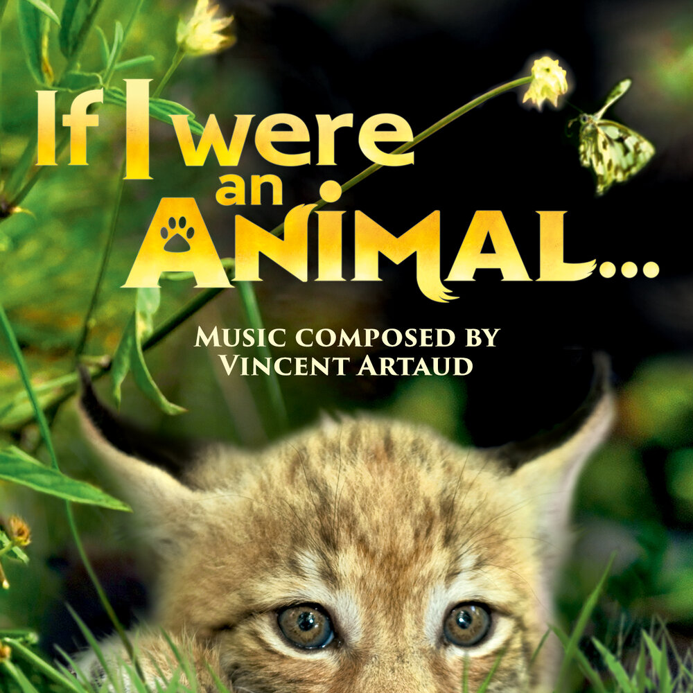 Винсент Арто - саундтрек к мультфильму «Если бы я был животным»