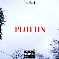 Ced Bash